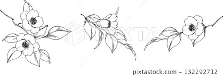 山茶花枝的鋼筆畫插圖2 山茶花枝的鋼筆畫插圖2 132292712