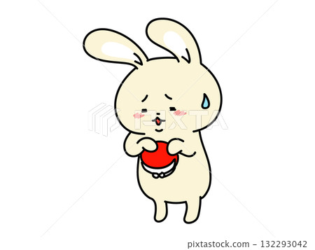 錢包空空的兔子 錢包空空的兔子 132293042