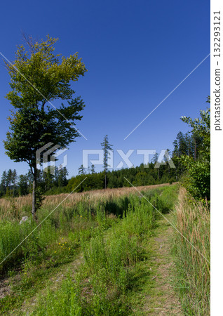 A path that leads through wild countryside. This path is intended only for pedestrians and managers of adjacent land. 132293121