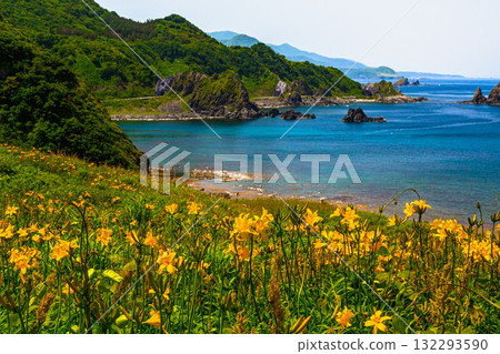 Onogame, Sado Island, Niigata Prefecture: Tobishima Daylilies on the Flower Island of Onogame, May to June Onogame, Sado Island, Niigata Prefecture: Tobishima Daylilies on the Flower Island of Onogame, May to June 132293590