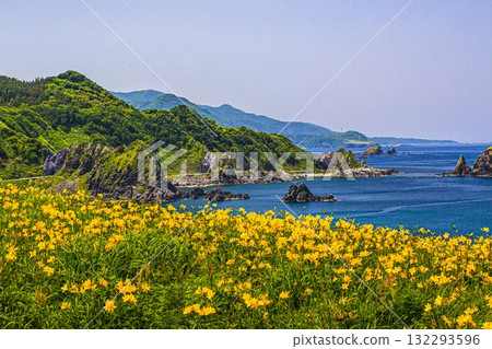 Onogame, Sado Island, Niigata Prefecture: Tobishima Daylilies on the Flower Island of Onogame, May to June Onogame, Sado Island, Niigata Prefecture: Tobishima Daylilies on the Flower Island of Onogame, May to June 132293596