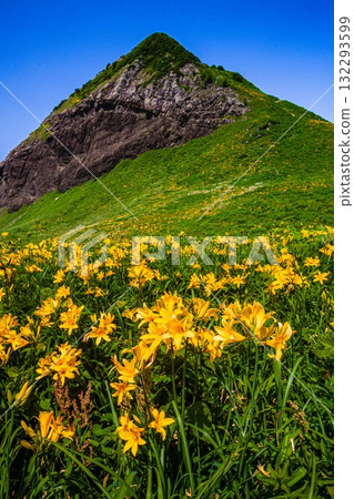 Onogame, Sado Island, Niigata Prefecture: Tobishima Daylilies on the Flower Island of Onogame, May to June Onogame, Sado Island, Niigata Prefecture: Tobishima Daylilies on the Flower Island of Onogame, May to June 132293599