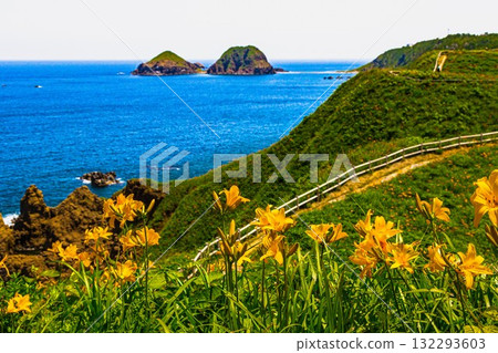 Onogame, Sado Island, Niigata Prefecture: Tobishima Daylilies on the Flower Island of Onogame, May to June Onogame, Sado Island, Niigata Prefecture: Tobishima Daylilies on the Flower Island of Onogame, May to June 132293603