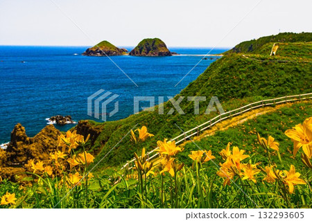 Onogame, Sado Island, Niigata Prefecture: Tobishima Daylilies on the Flower Island of Onogame, May to June Onogame, Sado Island, Niigata Prefecture: Tobishima Daylilies on the Flower Island of Onogame, May to June 132293605