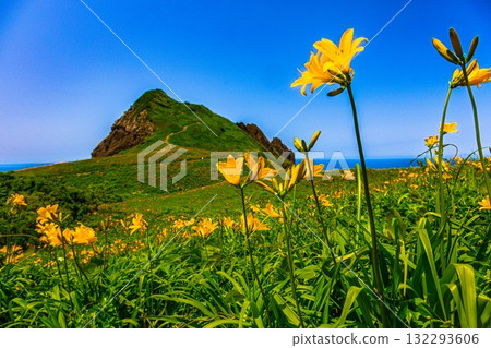 Onogame, Sado Island, Niigata Prefecture: Tobishima Daylilies on the Flower Island of Onogame, May to June Onogame, Sado Island, Niigata Prefecture: Tobishima Daylilies on the Flower Island of Onogame, May to June 132293606