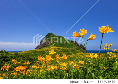 Onogame, Sado Island, Niigata Prefecture: Tobishima Daylilies on the Flower Island of Onogame, May to June 132293619
