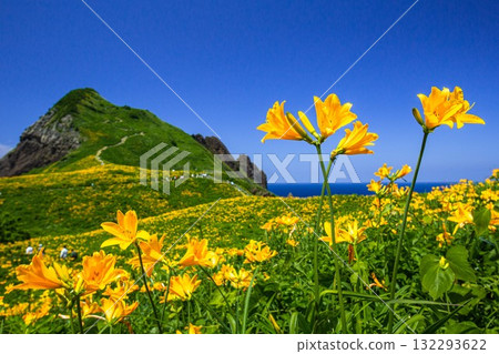 Onogame, Sado Island, Niigata Prefecture: Tobishima Daylilies on the Flower Island of Onogame, May to June Onogame, Sado Island, Niigata Prefecture: Tobishima Daylilies on the Flower Island of Onogame, May to June 132293622