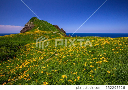 Onogame, Sado Island, Niigata Prefecture: Tobishima Daylilies on the Flower Island of Onogame, May to June 132293626