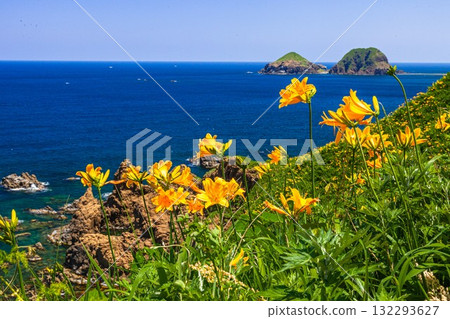 Onogame, Sado Island, Niigata Prefecture: Tobishima Daylilies on the Flower Island of Onogame, May to June Onogame, Sado Island, Niigata Prefecture: Tobishima Daylilies on the Flower Island of Onogame, May to June 132293627