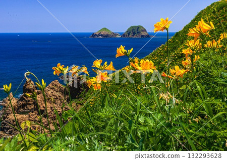Onogame, Sado Island, Niigata Prefecture: Tobishima Daylilies on the Flower Island of Onogame, May to June Onogame, Sado Island, Niigata Prefecture: Tobishima Daylilies on the Flower Island of Onogame, May to June 132293628