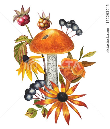 Hand drawn composition with  mashrooms,  berries, flowers. Watercolor illustration. 132293943