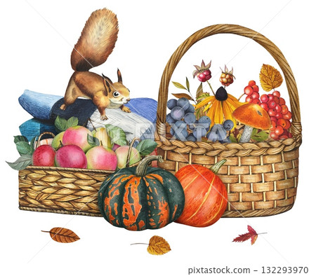 Hand drawn composition featuring harvest, pumpkins, basket, rowan berries,flowers, autumn leaves, and a blanket with squirrel. Watercolor illustration. 132293970