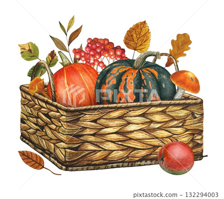 Hand drawn basket of harvested  pumpkins, rowan berries, autumn leaves. Watercolor illustration. 132294003
