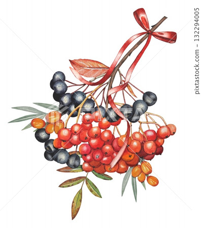 Hand drawn branch with red rowan, chokeberry, and sea buckthorn berries, tied with a red ribbon. Watercolor illustration 132294005
