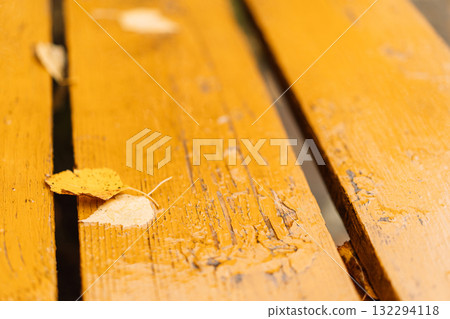 Yellow birch leaves on painted wooden bench Yellow birch leaves on painted wooden bench 132294118