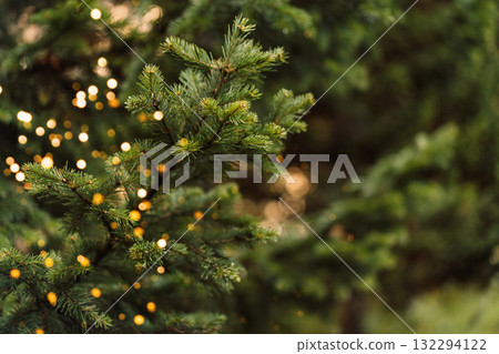 Christmas tree closeup with blurred golden lights, holiday background Christmas tree closeup with blurred golden lights, holiday background 132294122