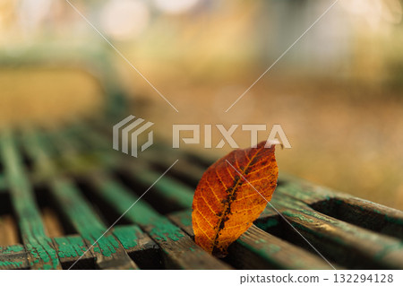 Dry autumn leaf standing on vintage green bench Dry autumn leaf standing on vintage green bench 132294128