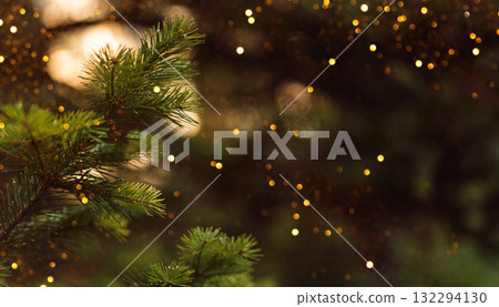 Evergreen branch with fairy lights glow, classic Christmas background 132294130