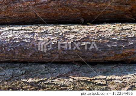 Close-up view of tree trunks. Warehouse of material ready for further processing. Abstract background for various uses. Close-up view of tree trunks. Warehouse of material ready for further processing. Abstract background for various uses. 132294496