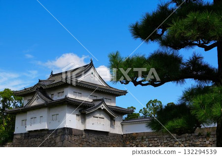 Castle walls 132294539