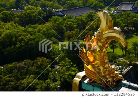 Golden Shachihoko (Osaka Castle) 132294556