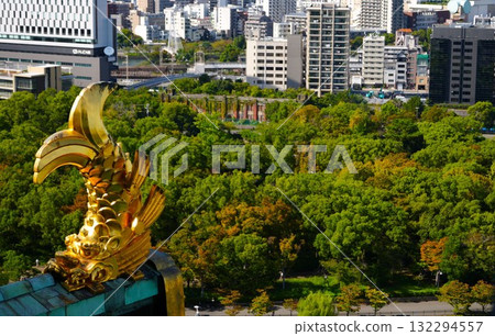 Golden Shachihoko (Osaka Castle) Golden Shachihoko (Osaka Castle) 132294557