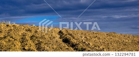 The great summer drought of 2024 which caused plants to wither. This climatic phenomenon was caused by high air temperatures and lack of rain. The great summer drought of 2024 which caused plants to wither. This climatic phenomenon was caused by high air temperatures and lack of rain. 132294781