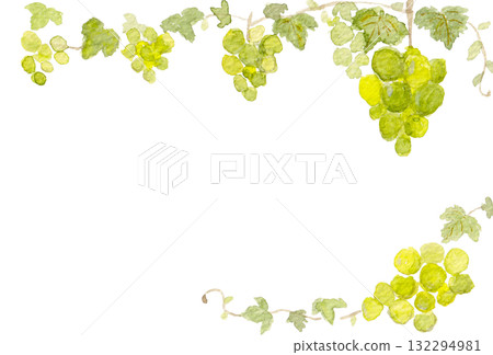 水彩閃耀馬斯喀特框架 132294981