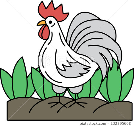 A rooster is standing in a field of grass A rooster is standing in a field of grass 132295608
