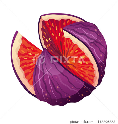 Fig Fruit Cut with Thin Skin and Many Small Seeds Inside Vector Fig Fruit Cut with Thin Skin and Many Small Seeds Inside Vector 132296828