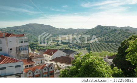 Vineyards on the Hills of Portugal with nice houses near Sesimbra timelapse 132296885