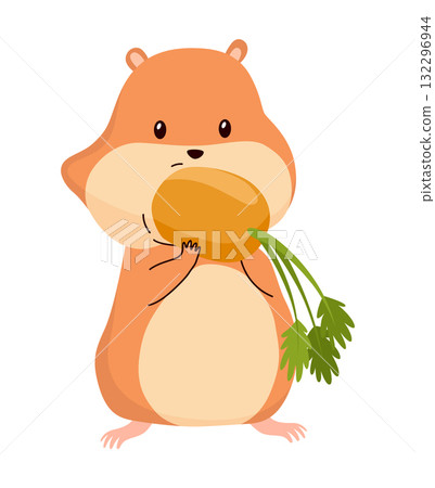 Cartoon hamster. Fluffy domestic pet, funny rodent. Happy home rodent animal. Vector illustration isolated on white background Cartoon hamster. Fluffy domestic pet, funny rodent. Happy home rodent animal. Vector illustration isolated on white background 132296944