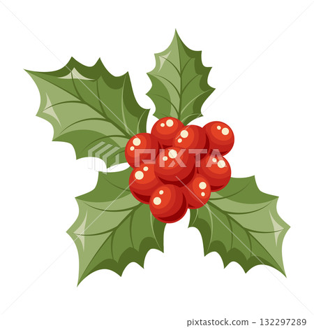 Christmas holly berries with green leaves. Composition of holly with bright red berries. Holiday illustration. 132297289