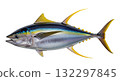Yellowfin tuna, known for its striking yellow and blue hues, is isolated against a transparent background. This species represents strength and beauty in marine life. 132297845