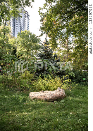 In the park there is a bench in a rustic style made of wood In the park there is a bench in a rustic style made of wood 132297958