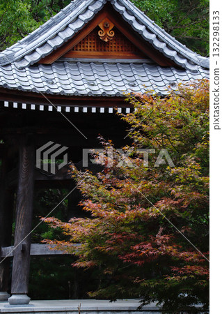 長野縣上田市被秋葉包圍的前山寺 長野縣上田市被秋葉包圍的前山寺 132298133