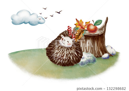 Funny long-eared hedgehog curled up in a ball looks at the birds soaring away into the clouds,near stump with pebbles and moss with autumn maple and oak leaves a sprig of rowan berries,apple 132298682