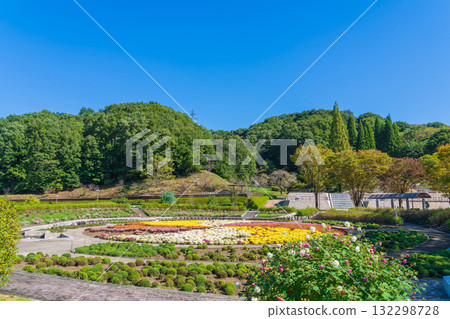 岐阜世界玫瑰園，菊花盛開（岐阜縣可兒市） 132298728