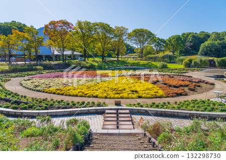 岐阜世界玫瑰園,菊花盛開(岐阜縣可兒市) 岐阜世界玫瑰園,菊花盛開(岐阜縣可兒市) 132298730