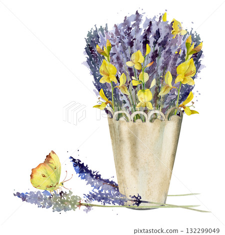 Lavender and spartium Spanish broom bouquet in cachepot with lace trim, single flower stalks, yellow butterfly. Isolated illustration hand drawn in watercolor. Cosmetics label, home fragrance gifts 132299049