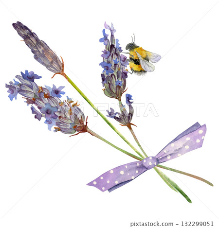 Lavender lavandula small bouquet tied with dotted bow, furry bumblebee. French Provence flowers in bloom. Isolated illustration hand drawn in watercolor. Cottage decor, herbal packaging, field theme. Lavender lavandula small bouquet tied with dotted bow, furry bumblebee. French Provence flowers in bloom. Isolated illustration hand drawn in watercolor. Cottage decor, herbal packaging, field theme. 132299051