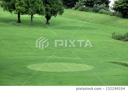 圓形果嶺 132299104