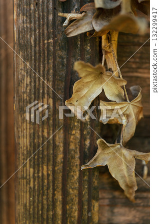 懷舊風景 圖片 懷舊風景 圖片 132299417