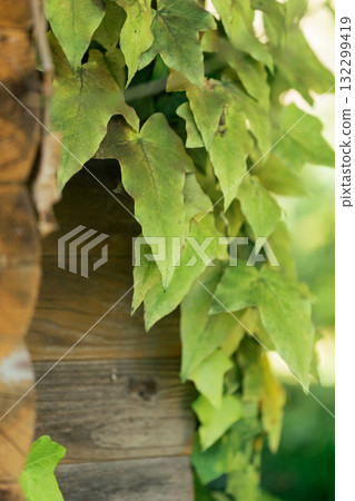 懷舊風景 圖片 懷舊風景 圖片 132299419