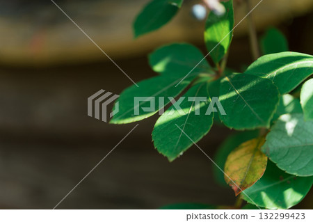 懷舊風景 圖片 132299423