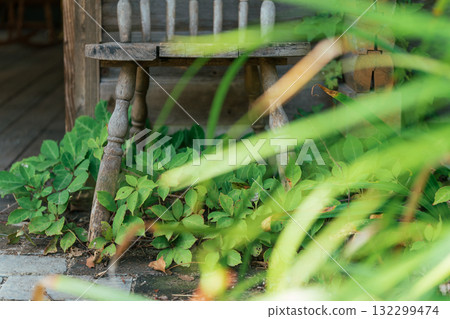 nostalgic landscape images nostalgic landscape images 132299474