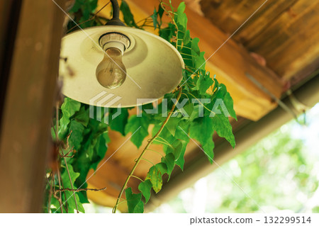 nostalgic landscape images 132299514