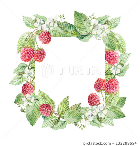 Raspberry twig frame, square. Ripe berries, green leaves and white flowers. Hand drawn watercolor illustration, isolated. Bright clip art for greeting cards and labels for juice, jam, tea. Raspberry twig frame, square. Ripe berries, green leaves and white flowers. Hand drawn watercolor illustration, isolated. Bright clip art for greeting cards and labels for juice, jam, tea. 132299654