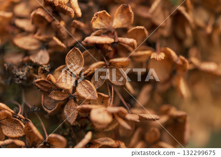 懷舊風景 圖片 懷舊風景 圖片 132299675