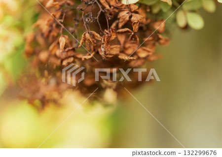 懷舊風景 圖片 懷舊風景 圖片 132299676